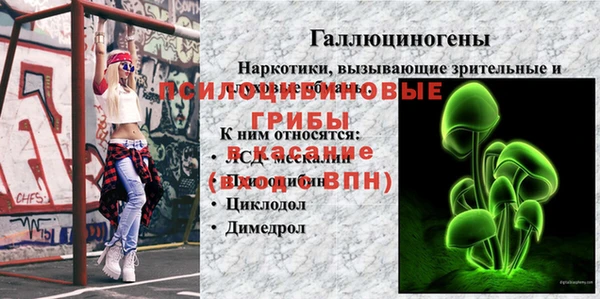 прущий лед Михайлов
