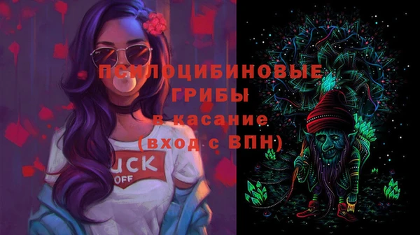 марки lsd Белокуриха