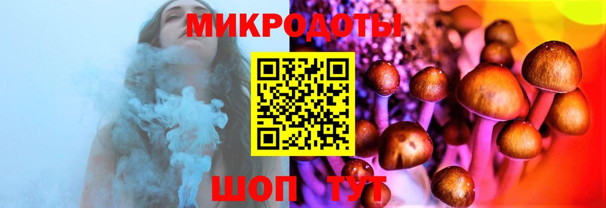 Галлюциногенные грибы мухоморы  Псилоцибиновые грибы Magic Shrooms  Электросталь  Вход с VPN 
